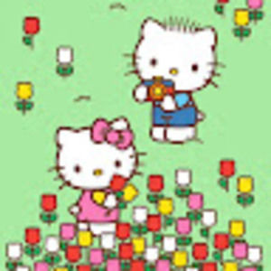 Meet your Posher, Ella